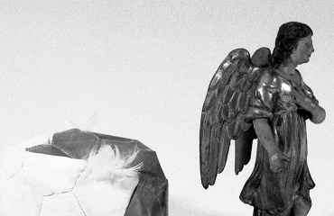 Œuvre de Charlotte Moth