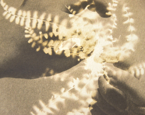 Herbarium de Alessandra Calò