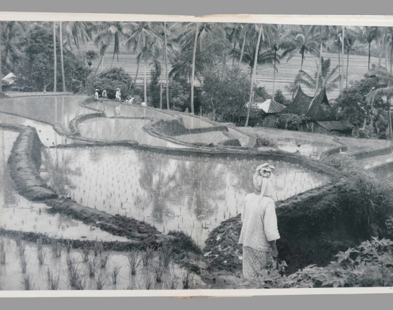Images à la Sauvette de Cartier-Bresson