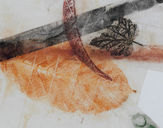 Guiseppe Penone, 16 pagine, 2011, Éditions librairie Yvon Lambert, Paris