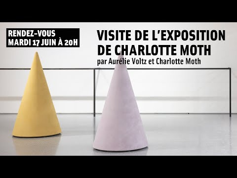 Visite de l'exposition de Charlotte Moth 🪶 | MAMC+