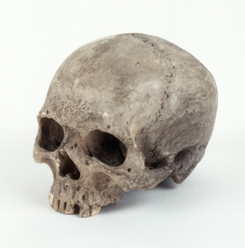 Anonyme, "Crâne" ["Skull"], ca. 17th century