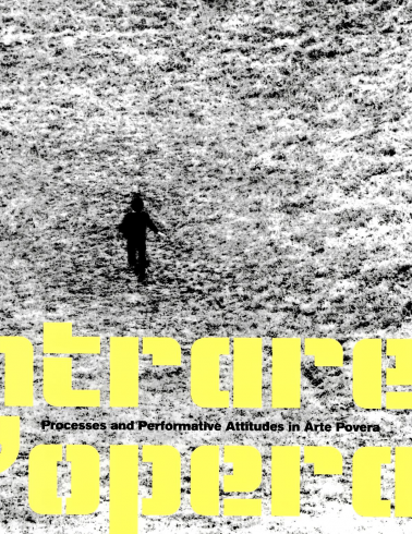Catalogue "Entrare nell'opera : Processes and Performative Attitudes in Arte Povera"