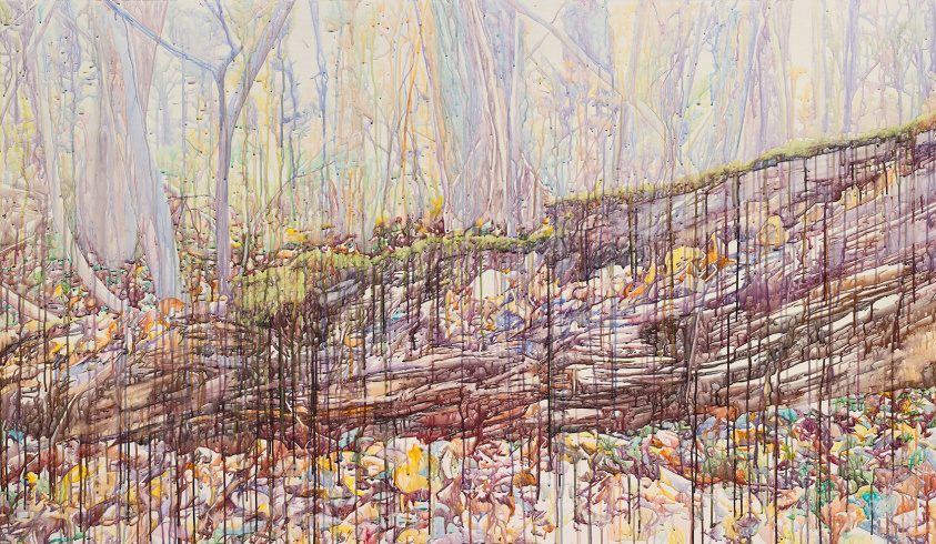 Anne Laure Sacriste, "Tubercule à la ronce orange", série "Paradis Artificiels", dite "Crying Landscapes", 2008