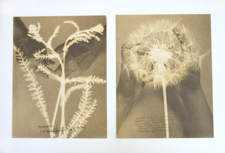 Alessandra Calò, Herbarium, I fiori sono rimasti rosa, 2022, Reggio d'Emilie, Éditions Studio Faganel