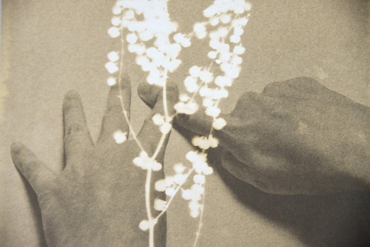 Alessandra Calò, Herbarium, I fiori sono rimasti rosa, 2022, Reggio d'Emilie, Éditions Studio Faganel, Détail d'une planche photographique