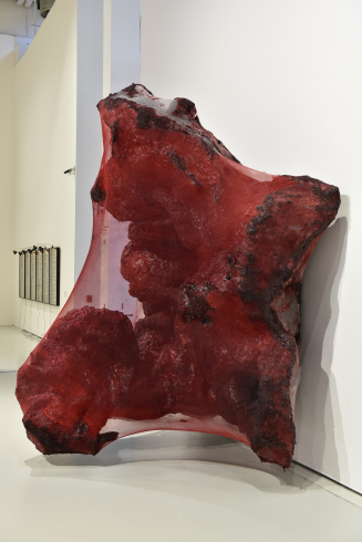 Anish Kapoor, "Red images in the red", 2016