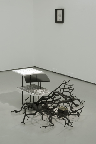 Stéphanie Nava, "Padiglione Ludwing", 2011