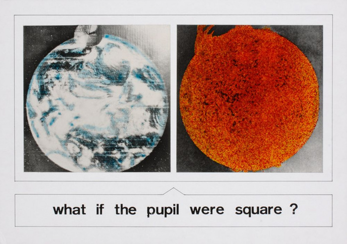 What if the pupil were square ?