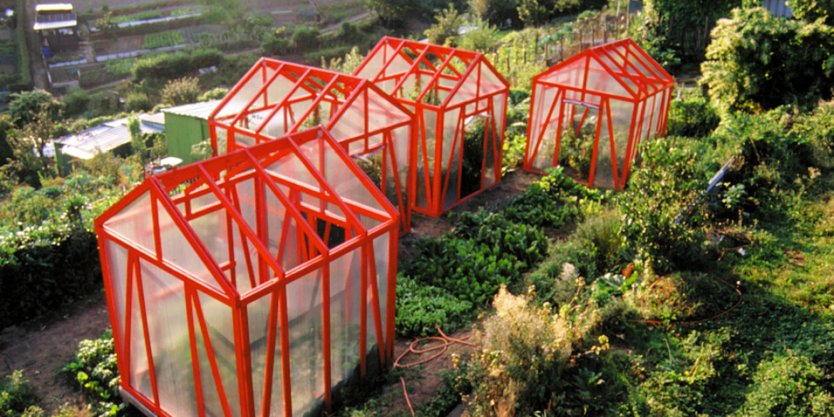 Photographie de serres dans les jardins ouvriers du père Volpette, Saint-Étienne