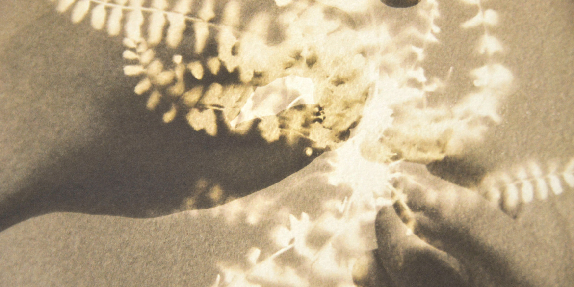 Herbarium de Alessandra Calò