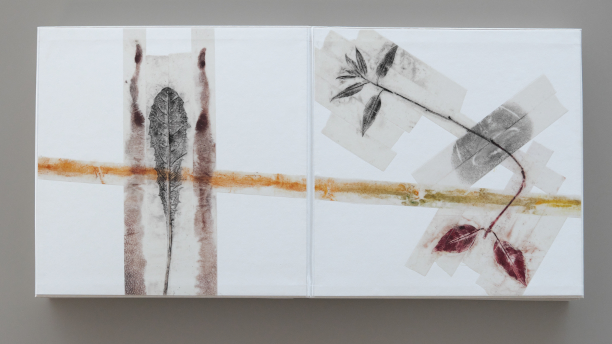 Guiseppe Penone, 16 pagine, 2011, Éditions librairie Yvon Lambert, Paris