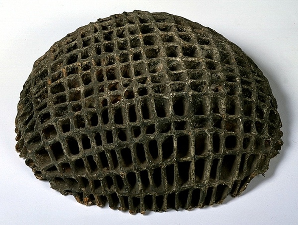 Le Fruit