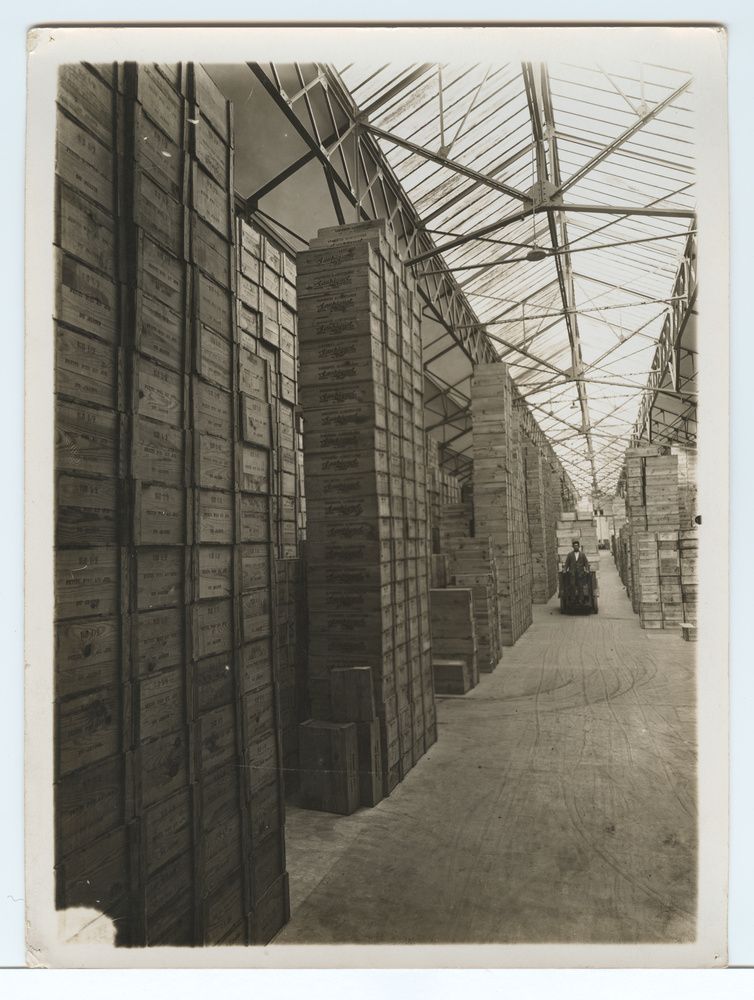 Usine de fabrication de fer blanc, atelier des fonds, Saupiquet, stockage des boîtes de conserve dans les caisses 