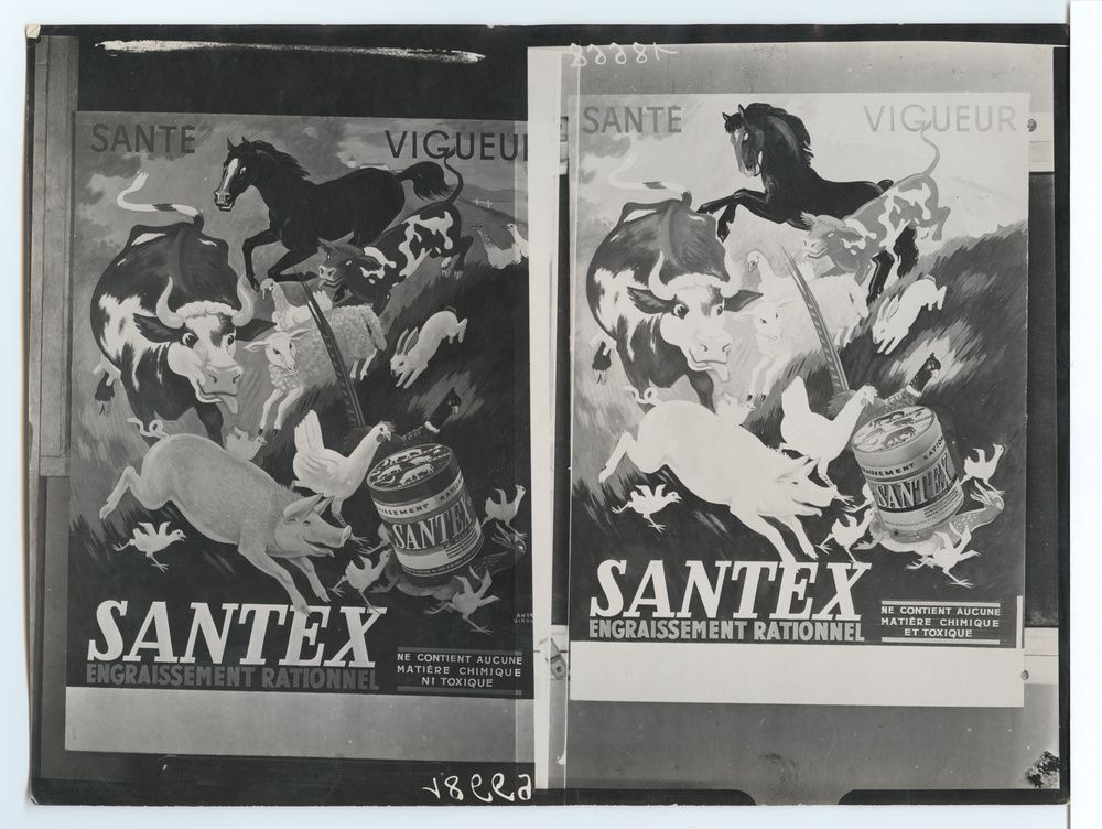 André Giroux, Santex engraissement rationnel 