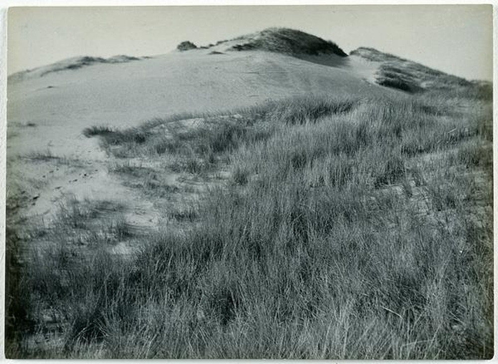 Paysage de la mer Baltique