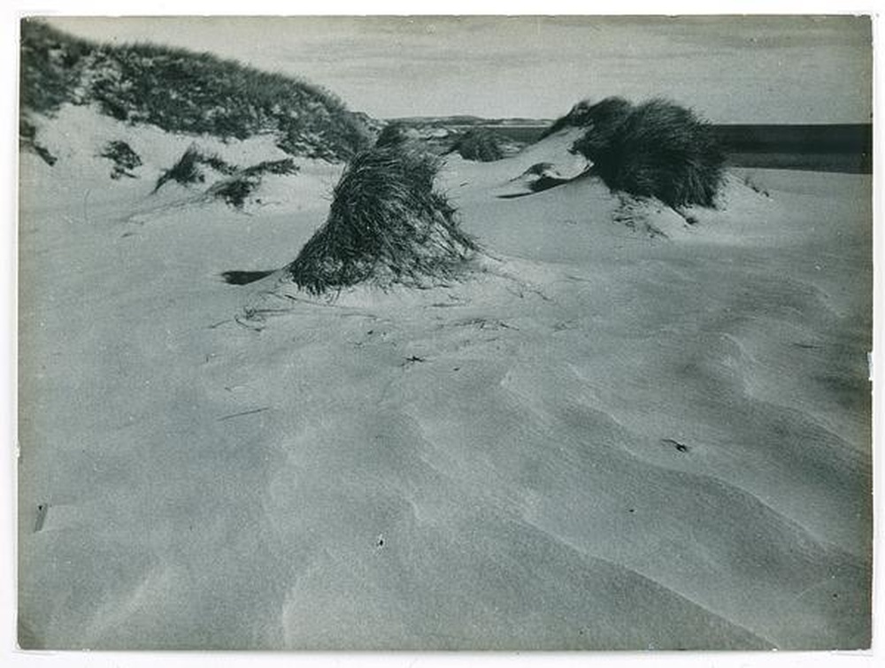 Dunes, mer Baltique