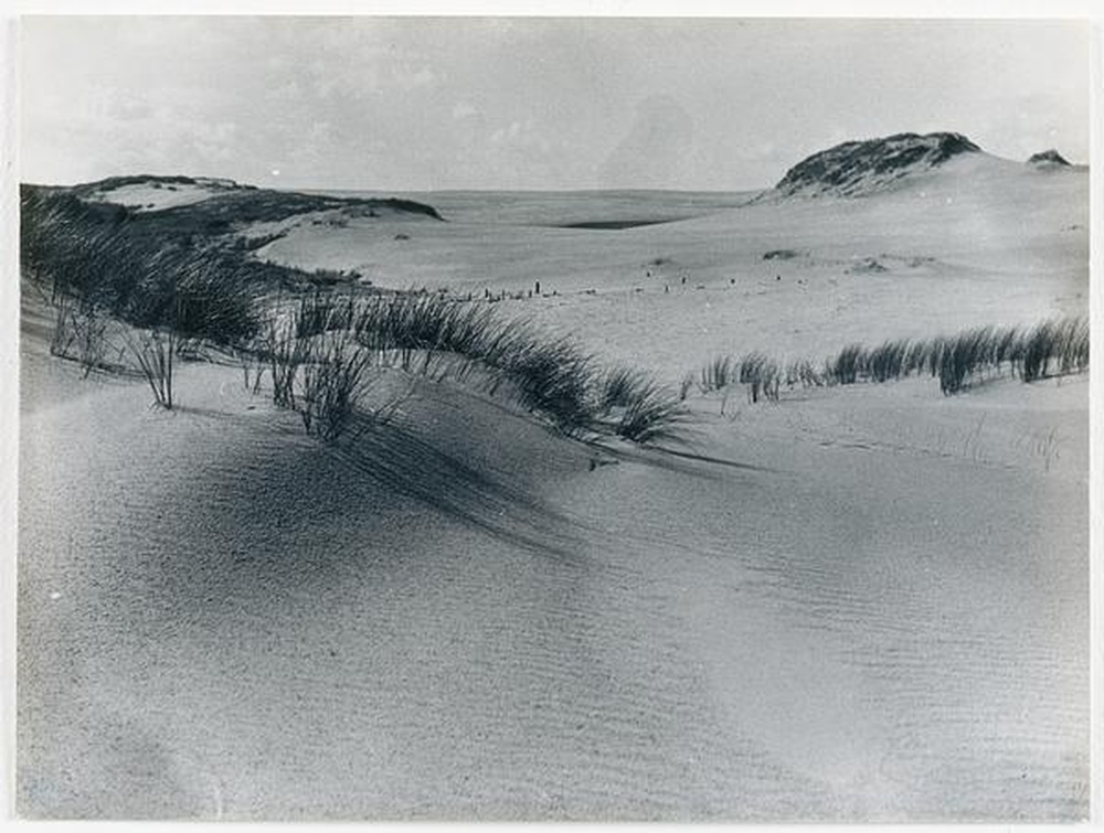 Dunes, mer Baltique