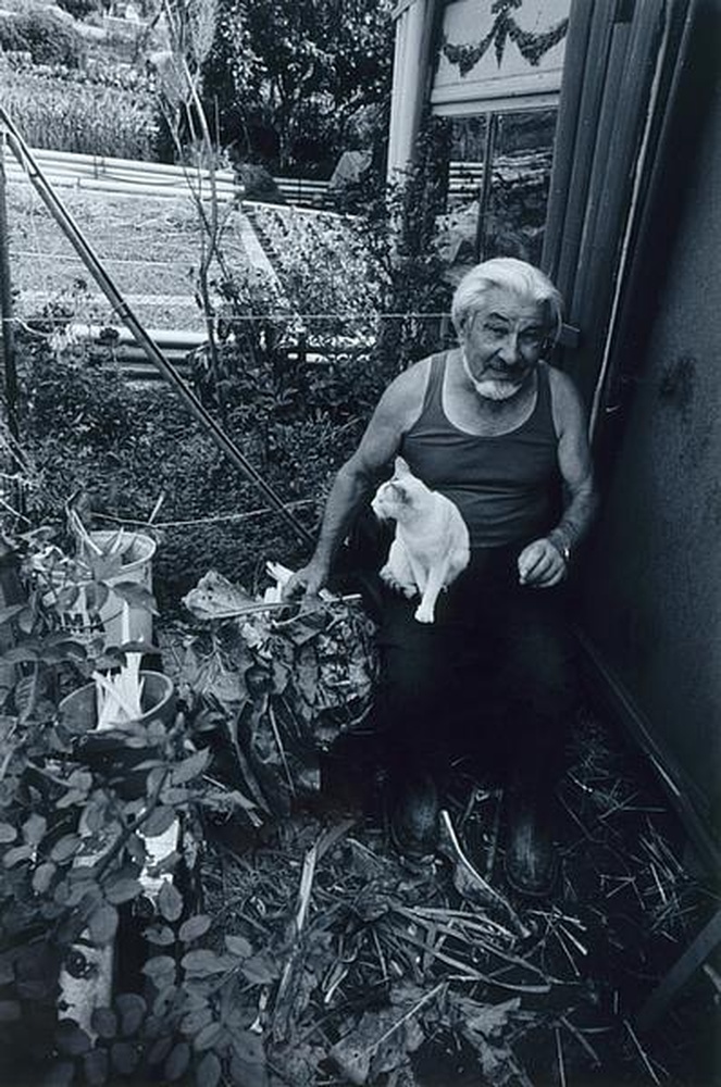 Volpette, les jardins ouvriers