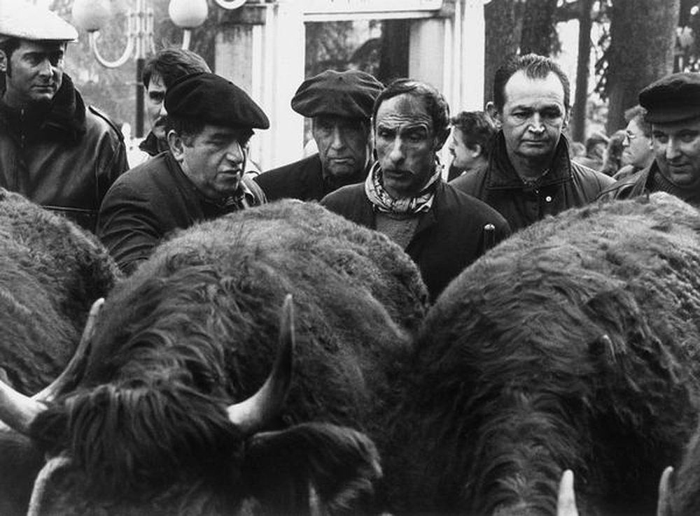 La Sainte-Catherine, les comices de Feurs