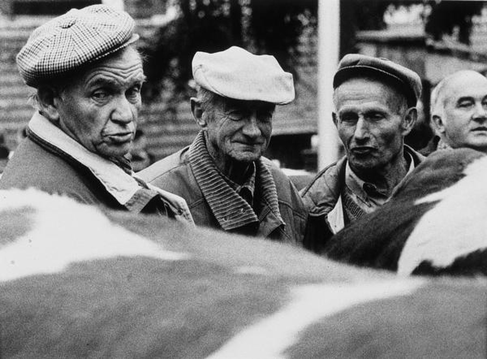 La Sainte-Catherine, les comices de Feurs