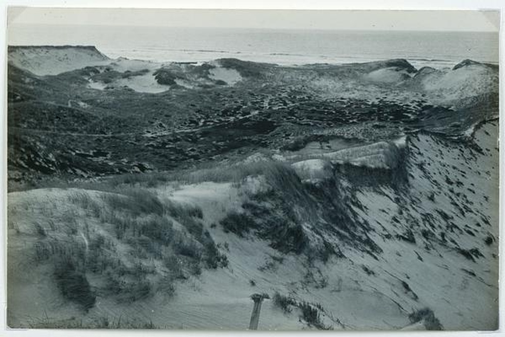 Dunes, mer Baltique