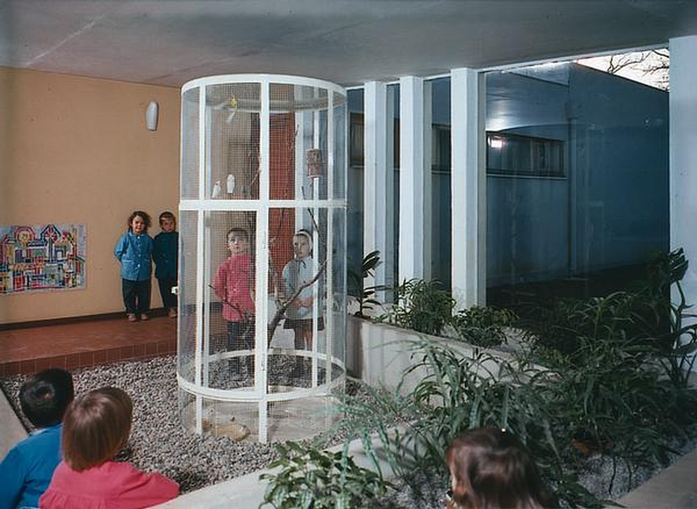 Firminy-vert : école maternelle des Noyers (Marcel Roux), enfants contemplant la volière