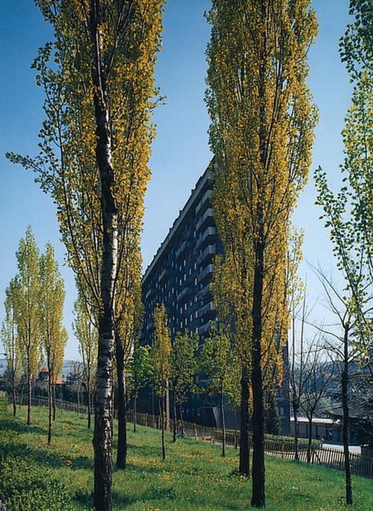 Saint-Etienne : Beaulieu, rue Pierre Blachon, espaces verts et immeuble