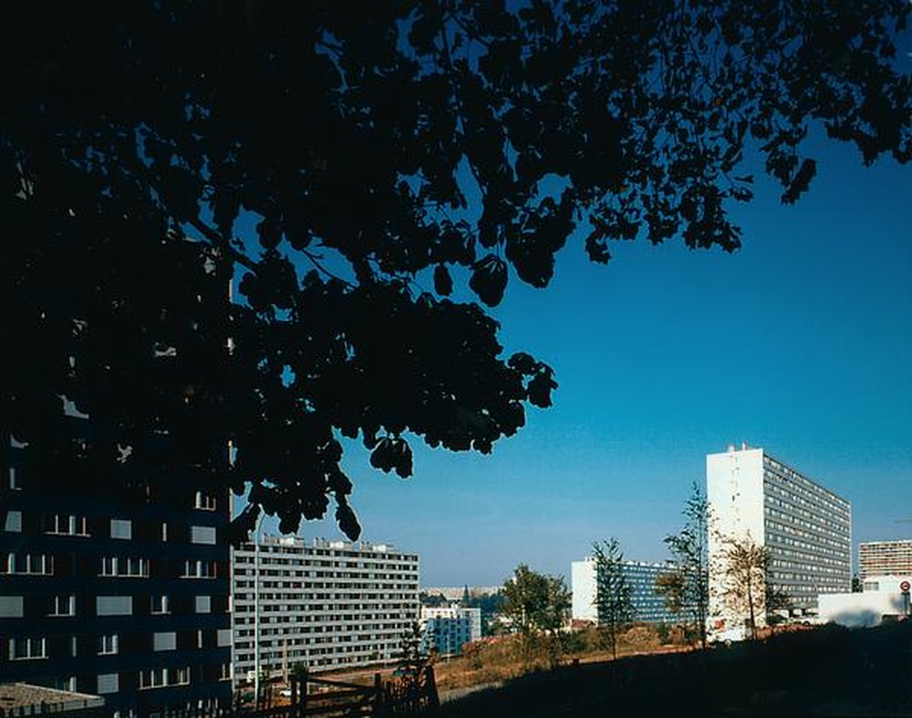 Saint-Etienne : Métare, immeubles vus du parc