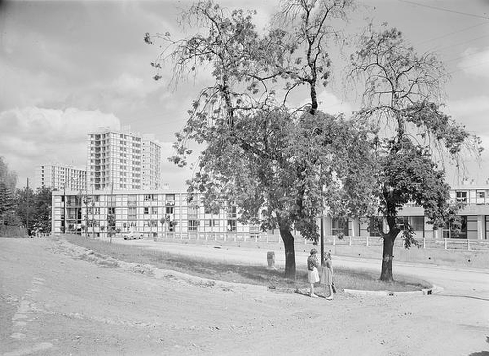 Firminy-vert : square des Noyers et rue des Blancs Bouleaux, à l'arrière plan, la tour Sive la tour Sive (André Sive) et le Grand H