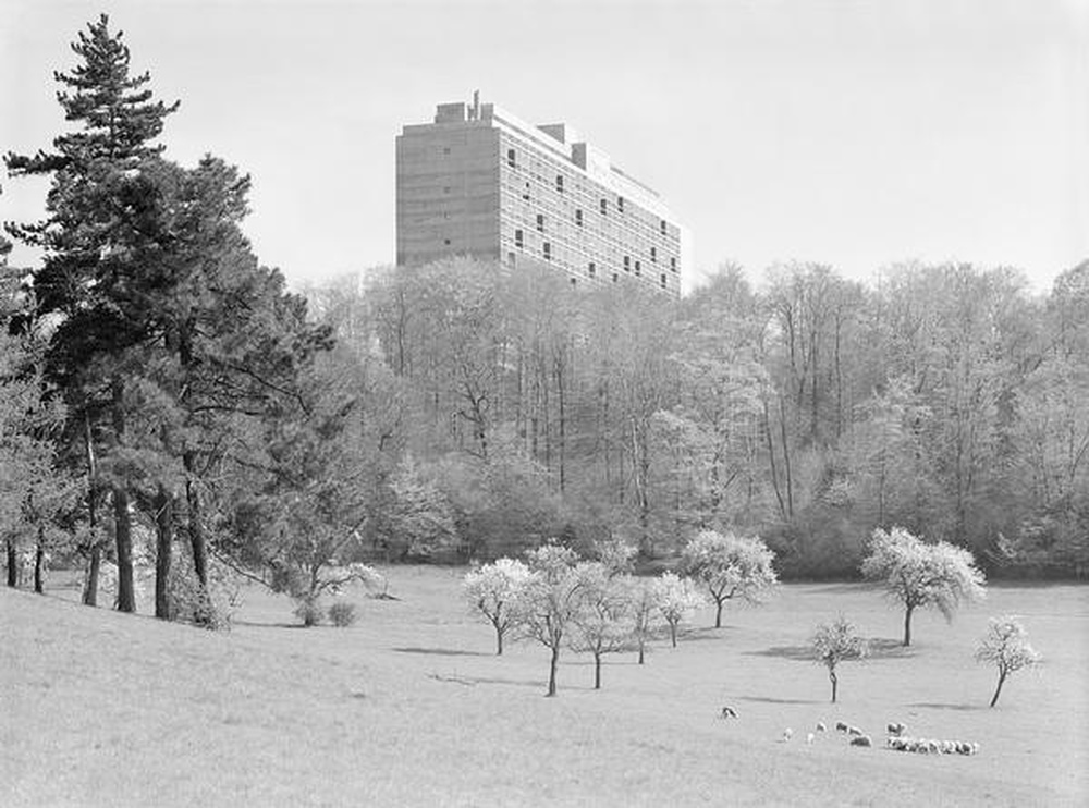 Firminy-vert : unité d'habitation Le Corbusier vue depuis le parc des Bruneaux