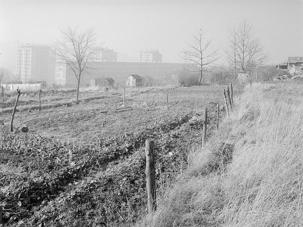 Saint-Etienne : Métare - Montchovet, jardins et immeubles