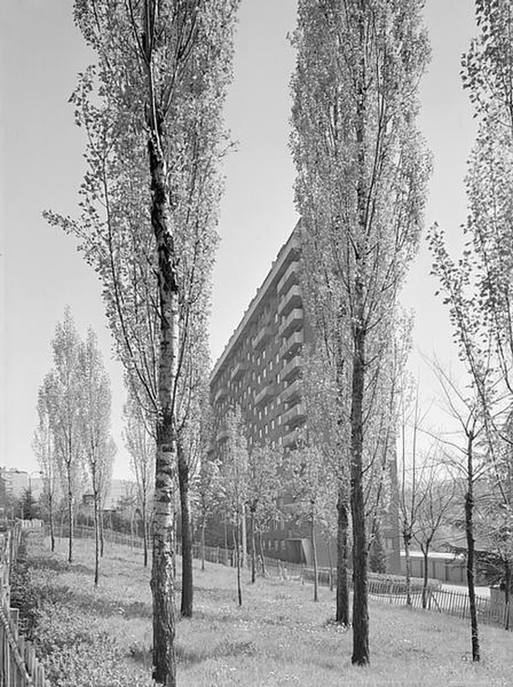 Saint-Etienne : Beaulieu, rue Pierre Blachon, espaces verts et vue partielle d'immeuble