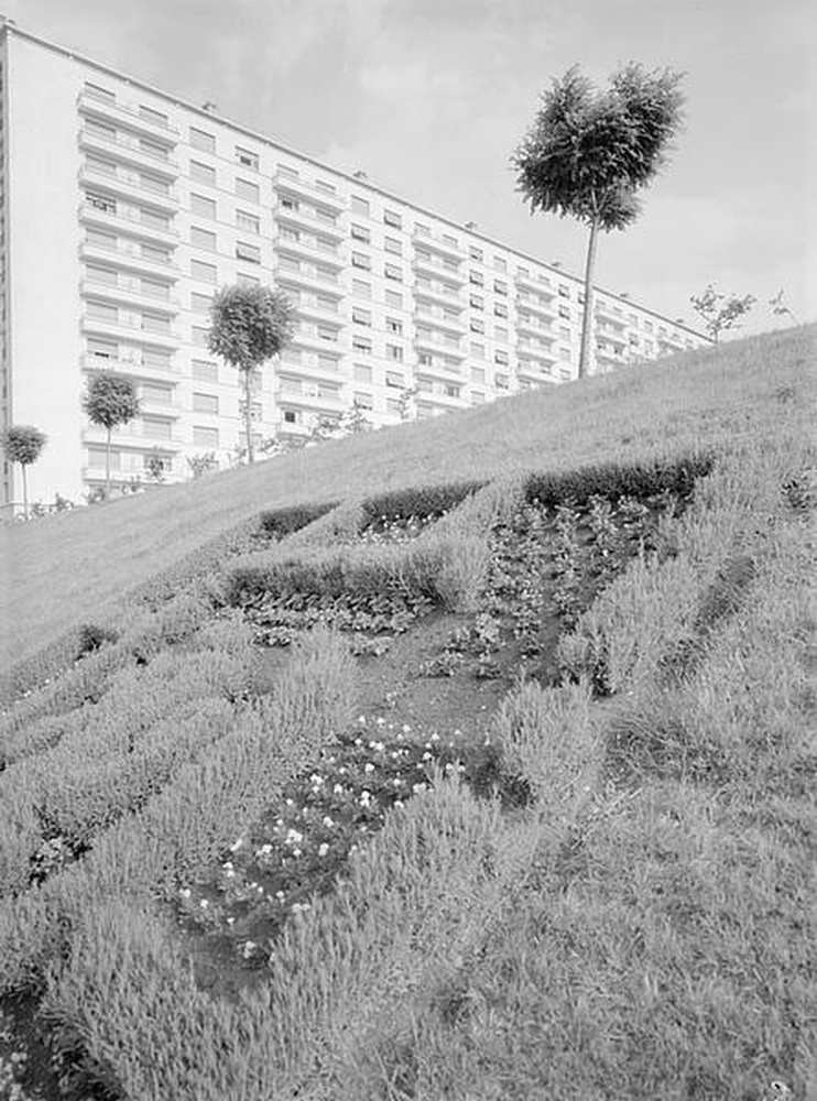 Saint-Etienne : Beaulieu La Métare, espaces verts et immeuble