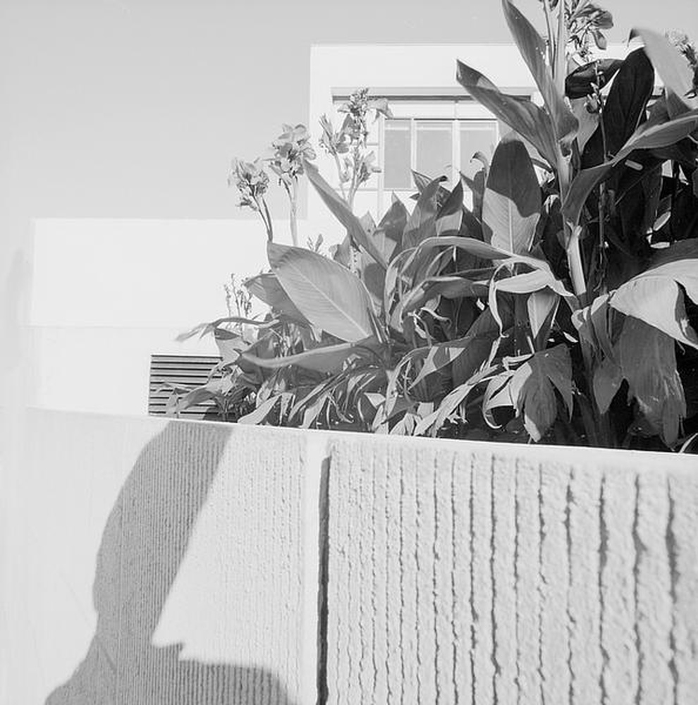 Firminy-vert : centre social (Charles Delfante), vue partielle d'une jardinière