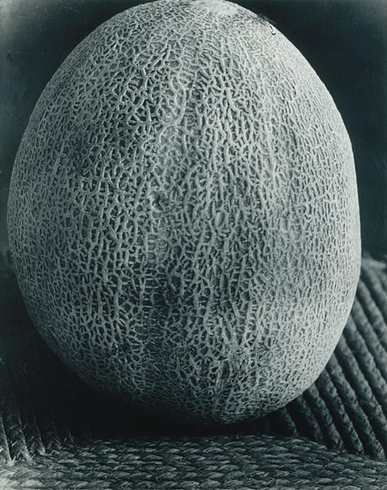 Melon