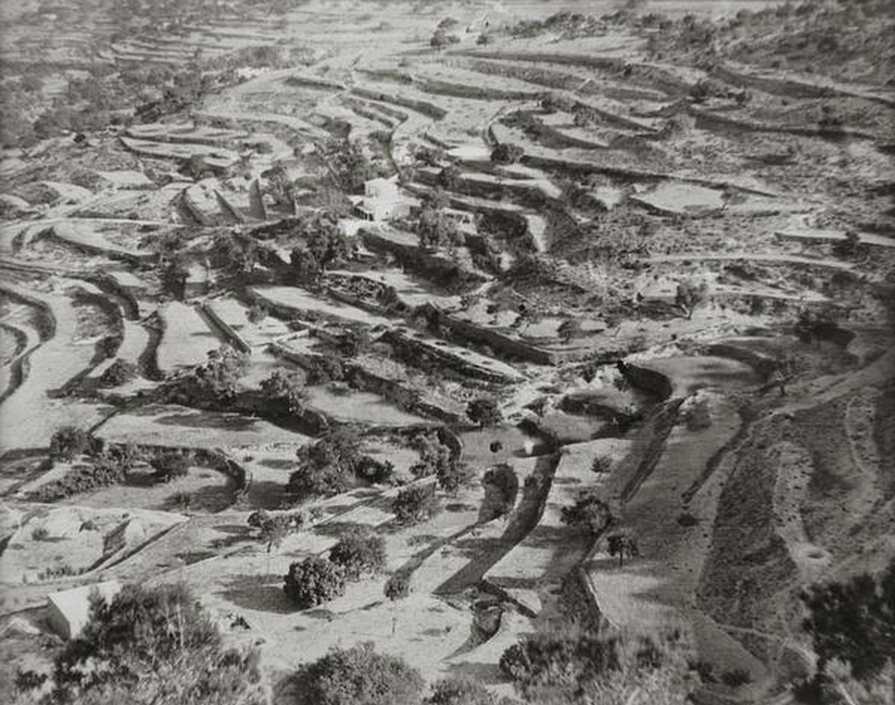 Champ de blé près de San José à Ibiza