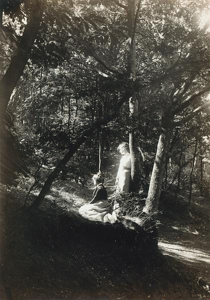 Jeune fille dans un sous bois