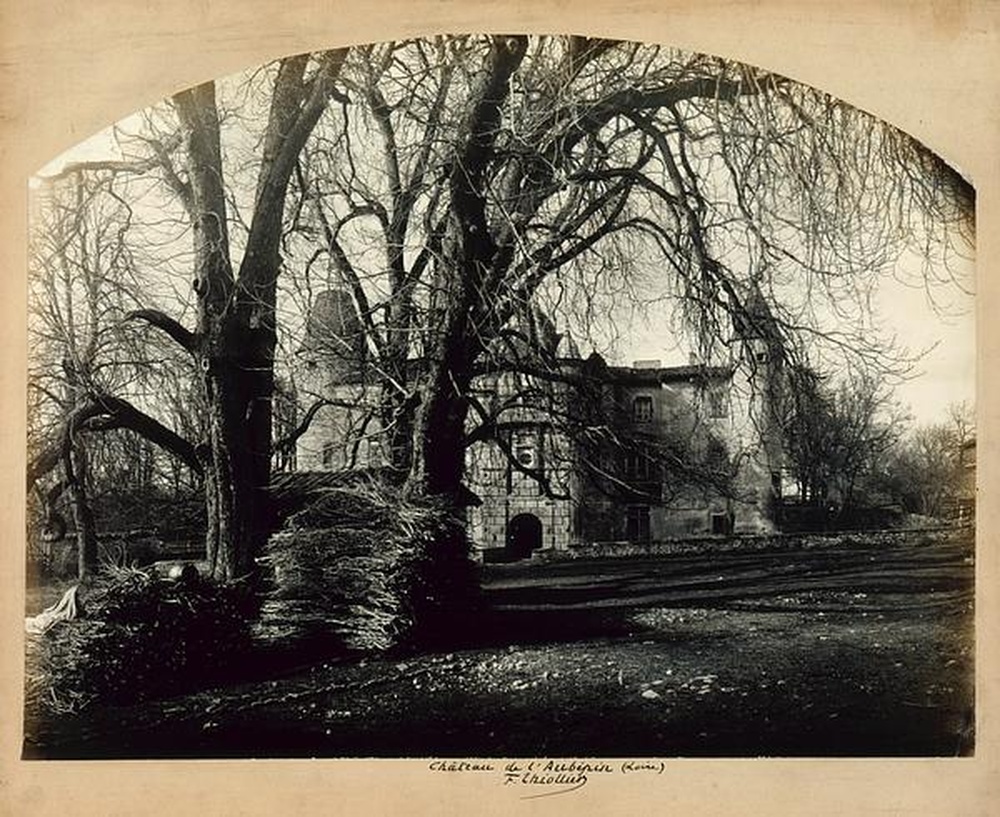 Château de l'Aubépin (Loire)