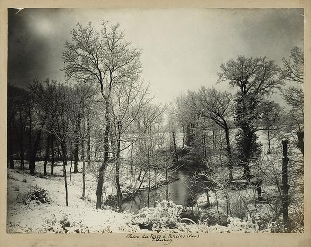 Plaine du Forez à Poncins (Loire)