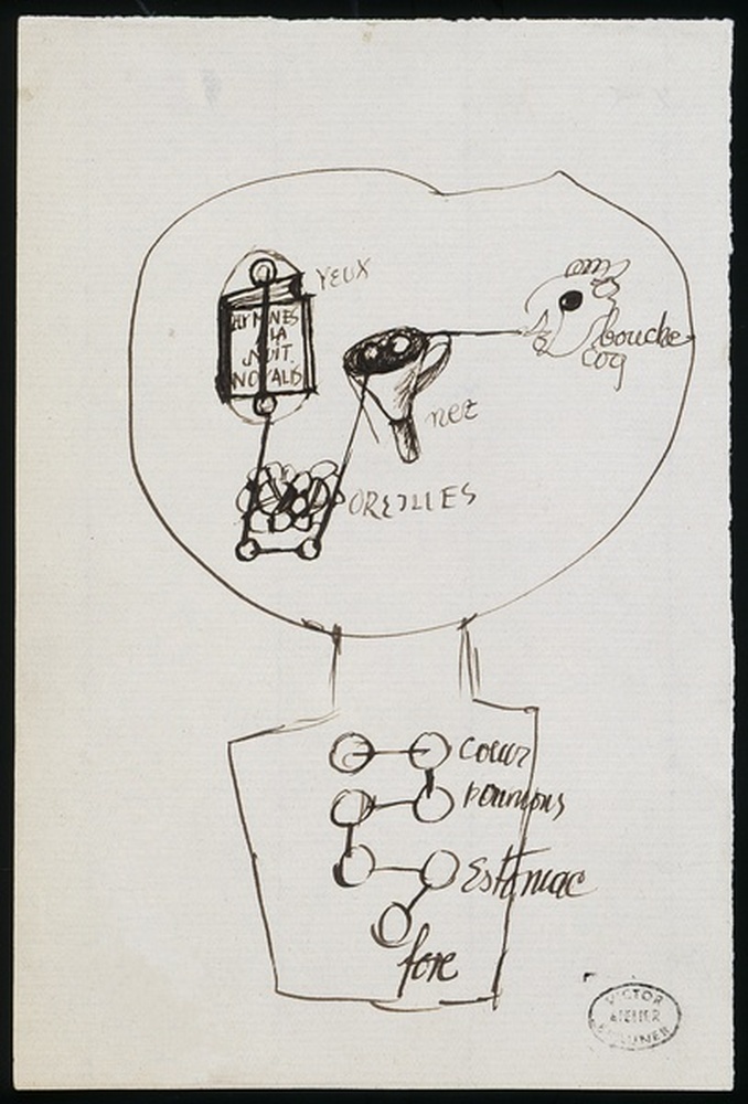 Yeux, bouche [...], coeur, poumons [...]