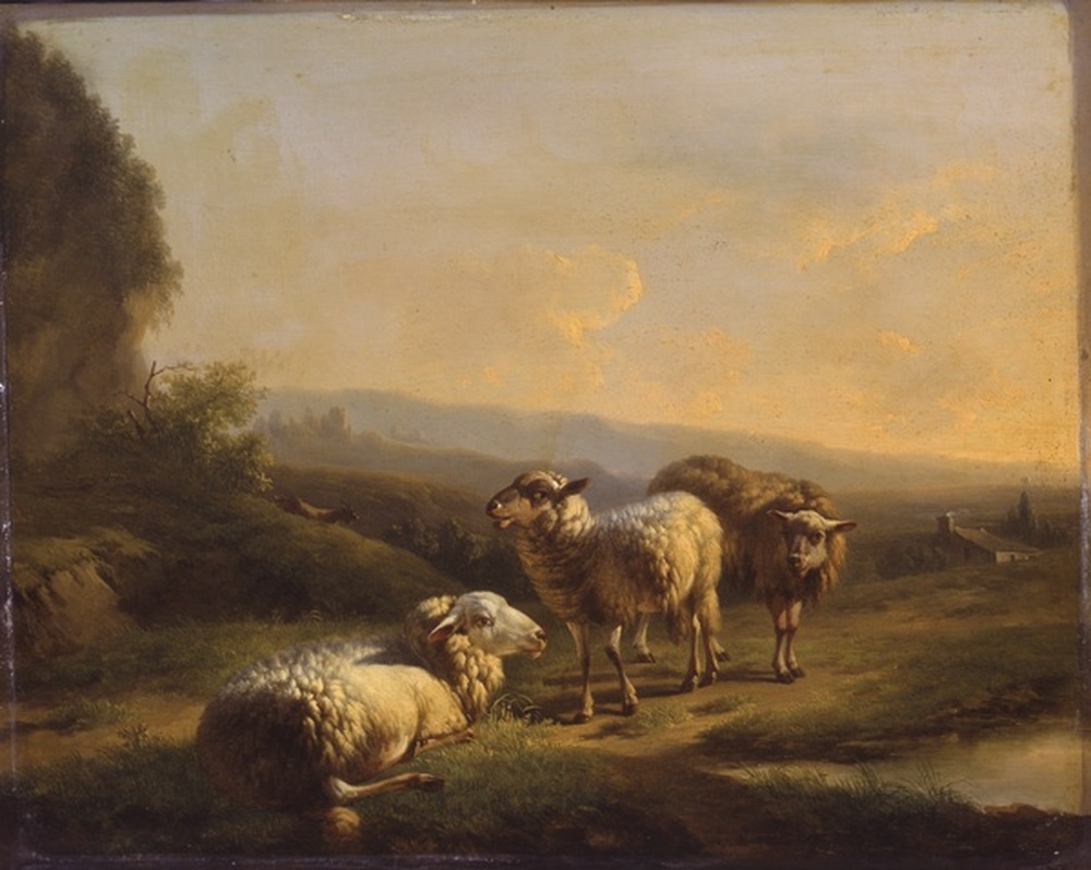 Paysage et moutons