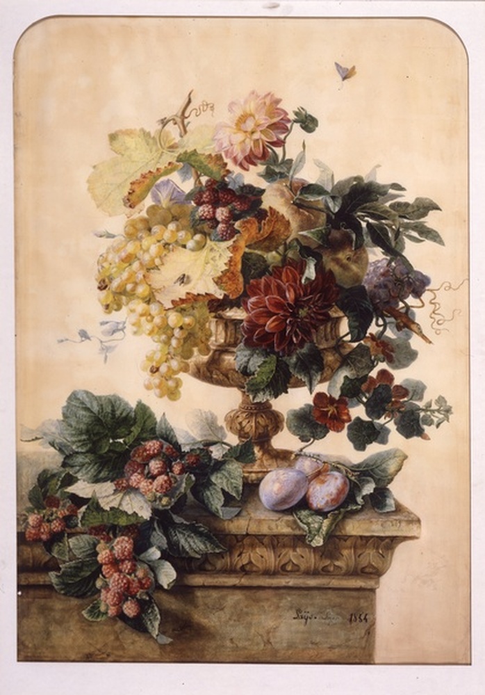 Fleurs et fruits