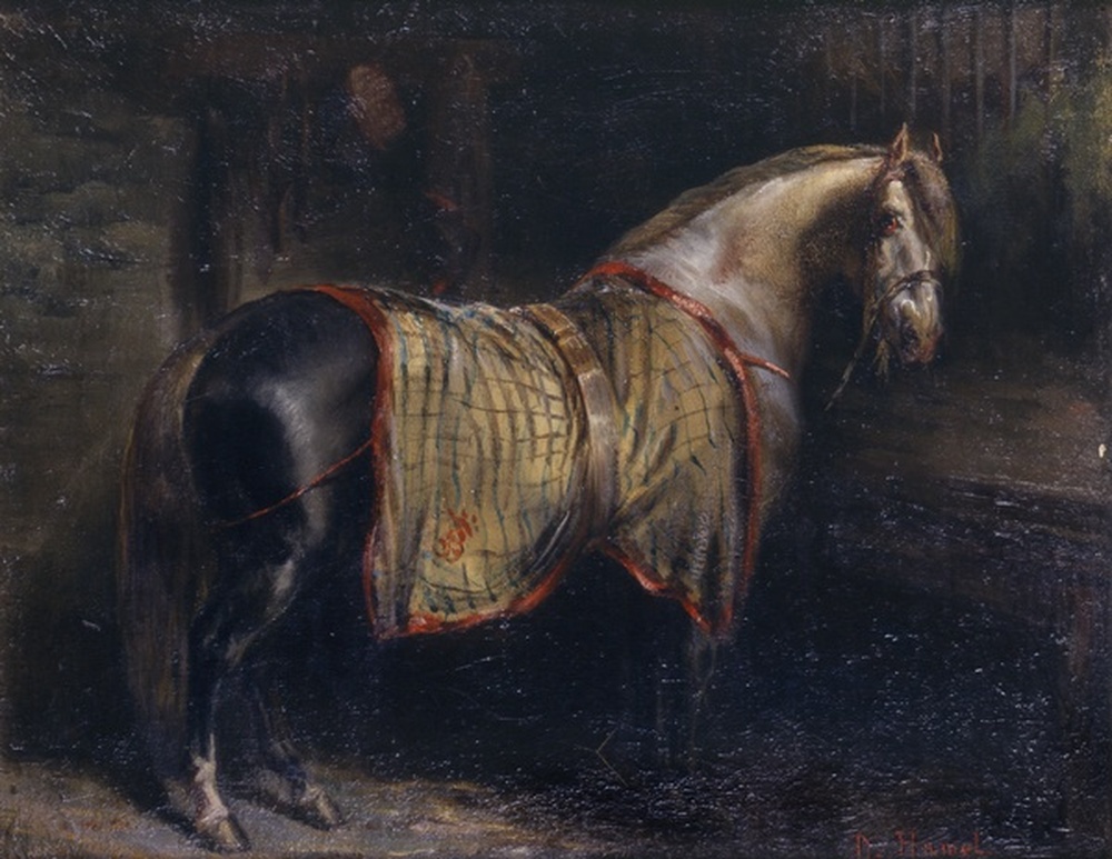 Cheval à l'écurie