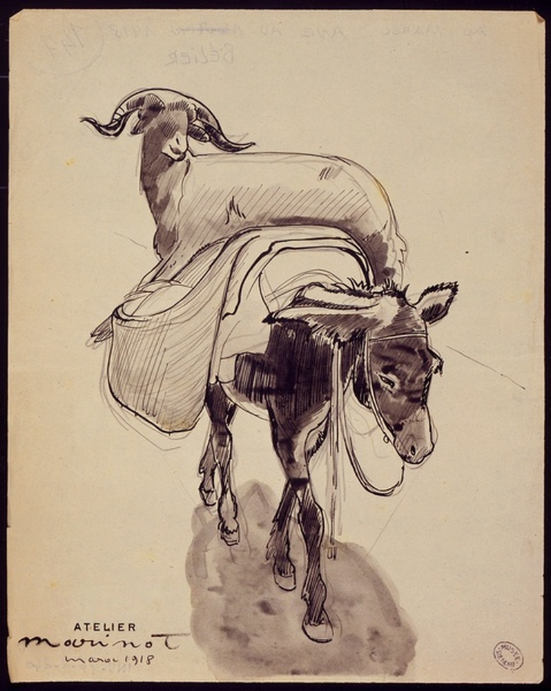 Au Maroc, âne au bélier 1918