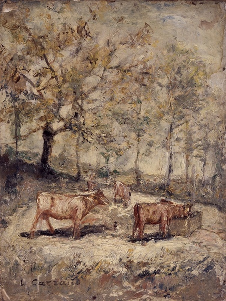 Vaches à l'abreuvoir