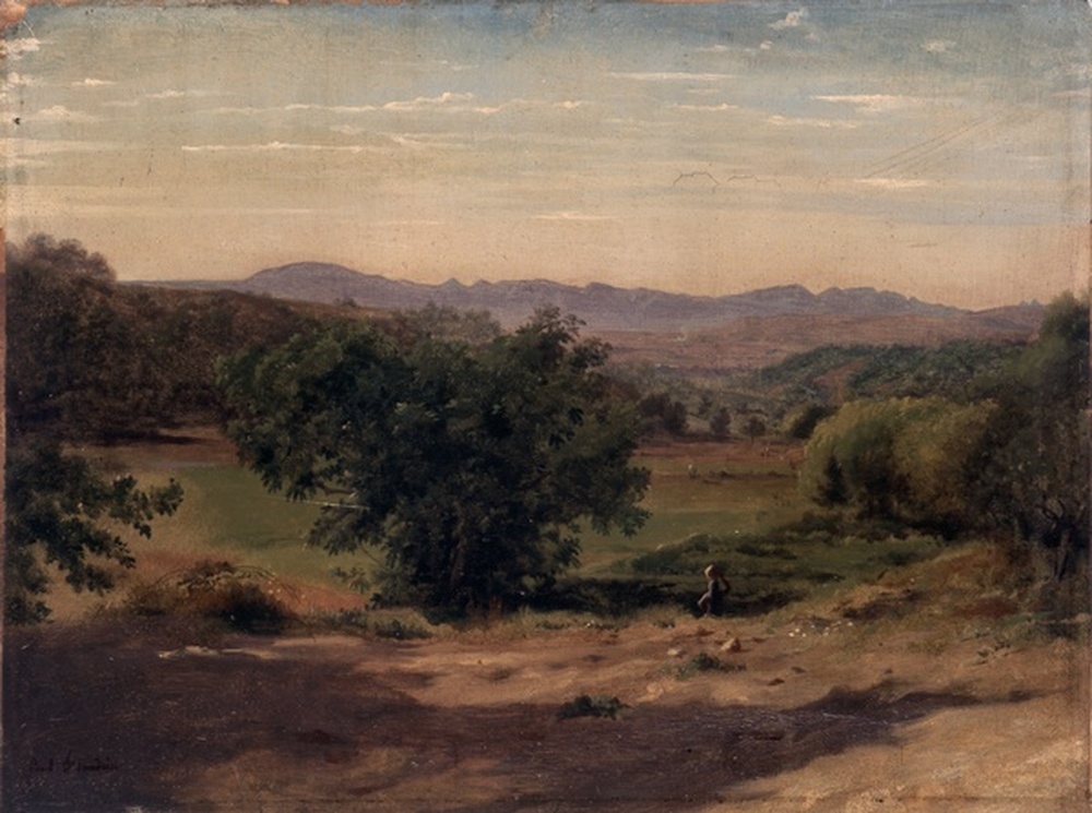 Paysage, environ de la Tour d'Aigues, près du Pertuis