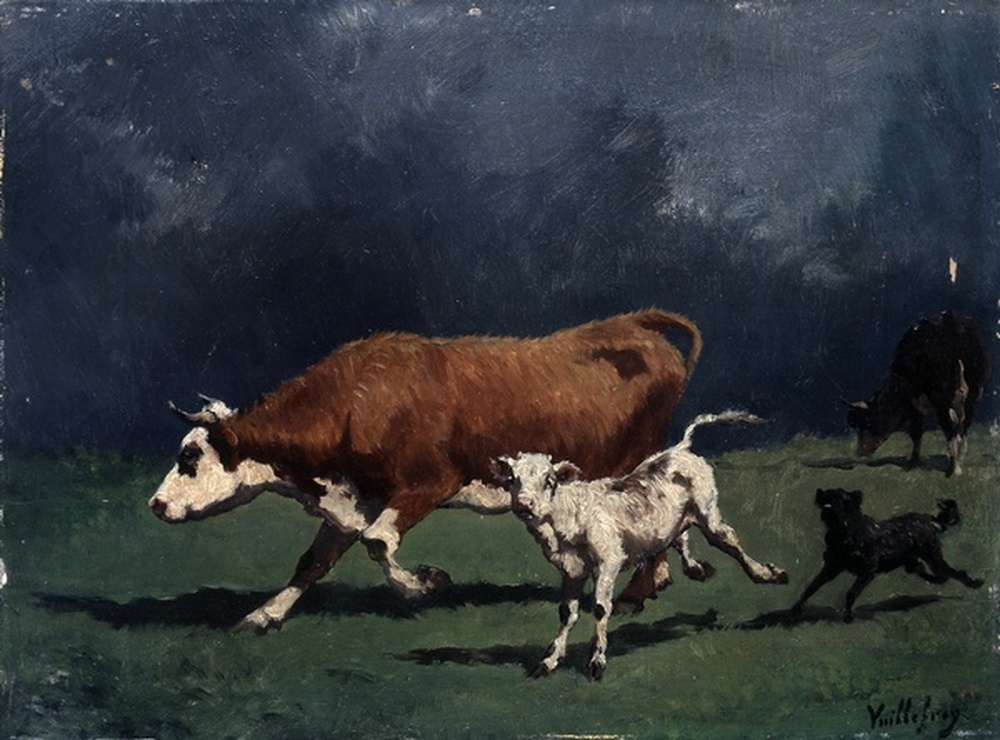 Vache et veau