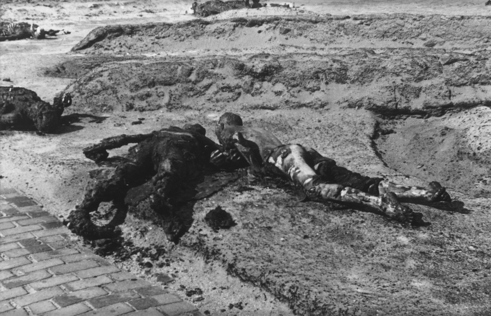 Burnt and Rotting Bodies of Polish and Allied Opponents