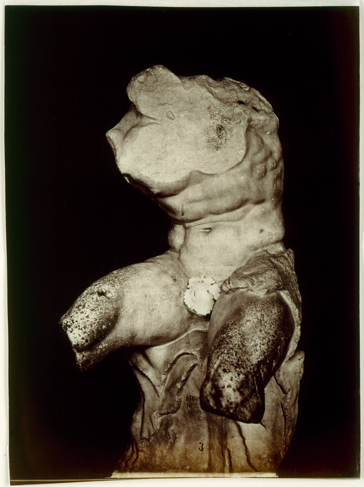 Le torse du Belvédère (sculpture du Vatican n°197)